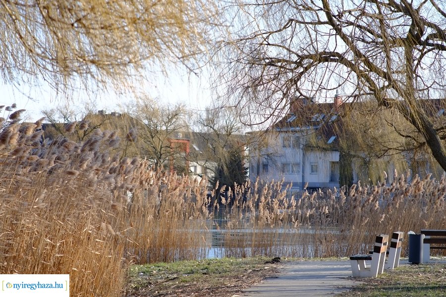 Ligeti csendélet 20230206