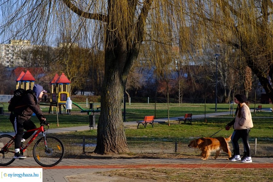 Ligeti csendélet 20230206