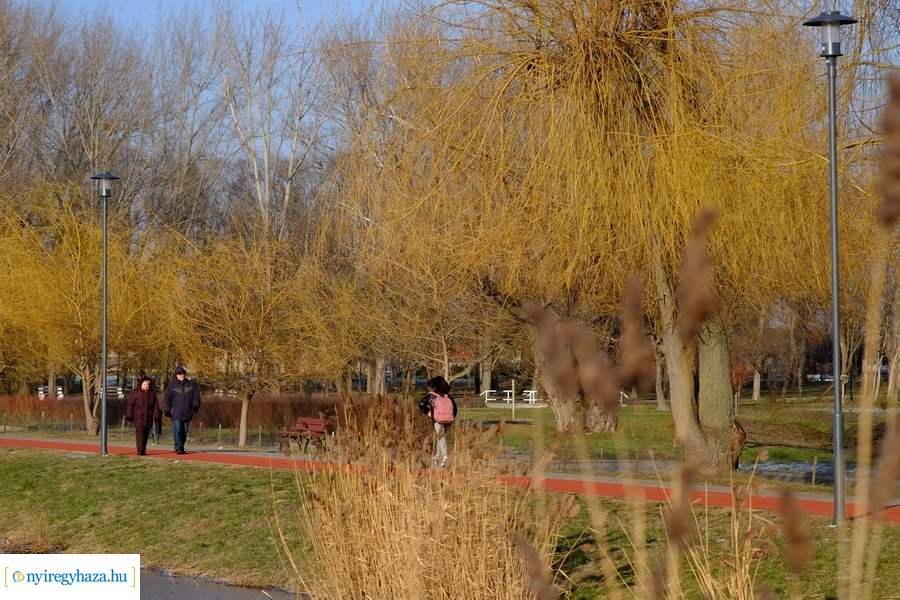 Ligeti csendélet 20230206