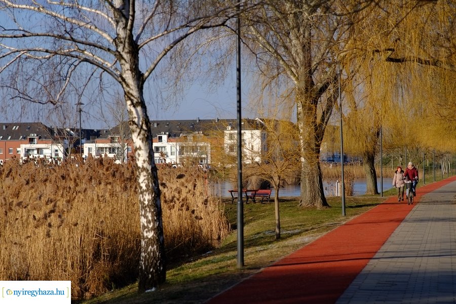 Ligeti csendélet 20230206