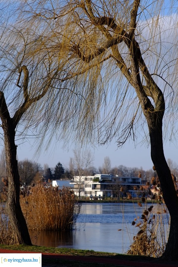 Ligeti csendélet 20230206