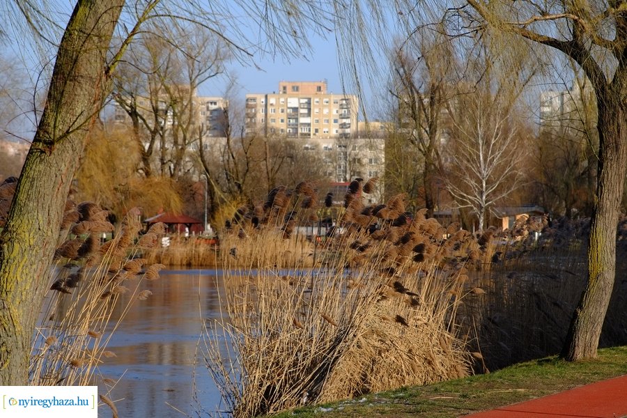 Ligeti csendélet 20230206