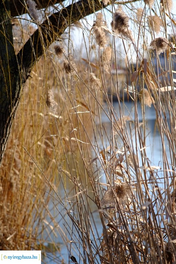 Ligeti csendélet 20230206