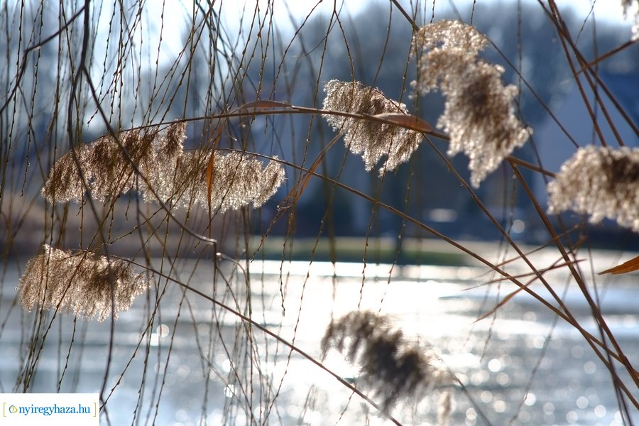 Ligeti csendélet 20230206