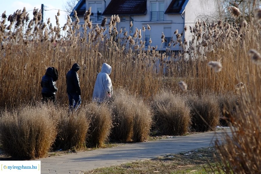 Ligeti csendélet 20230206