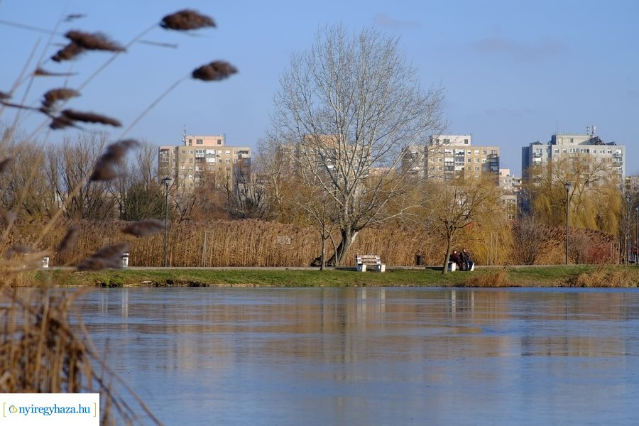 Ligeti csendélet 20230206