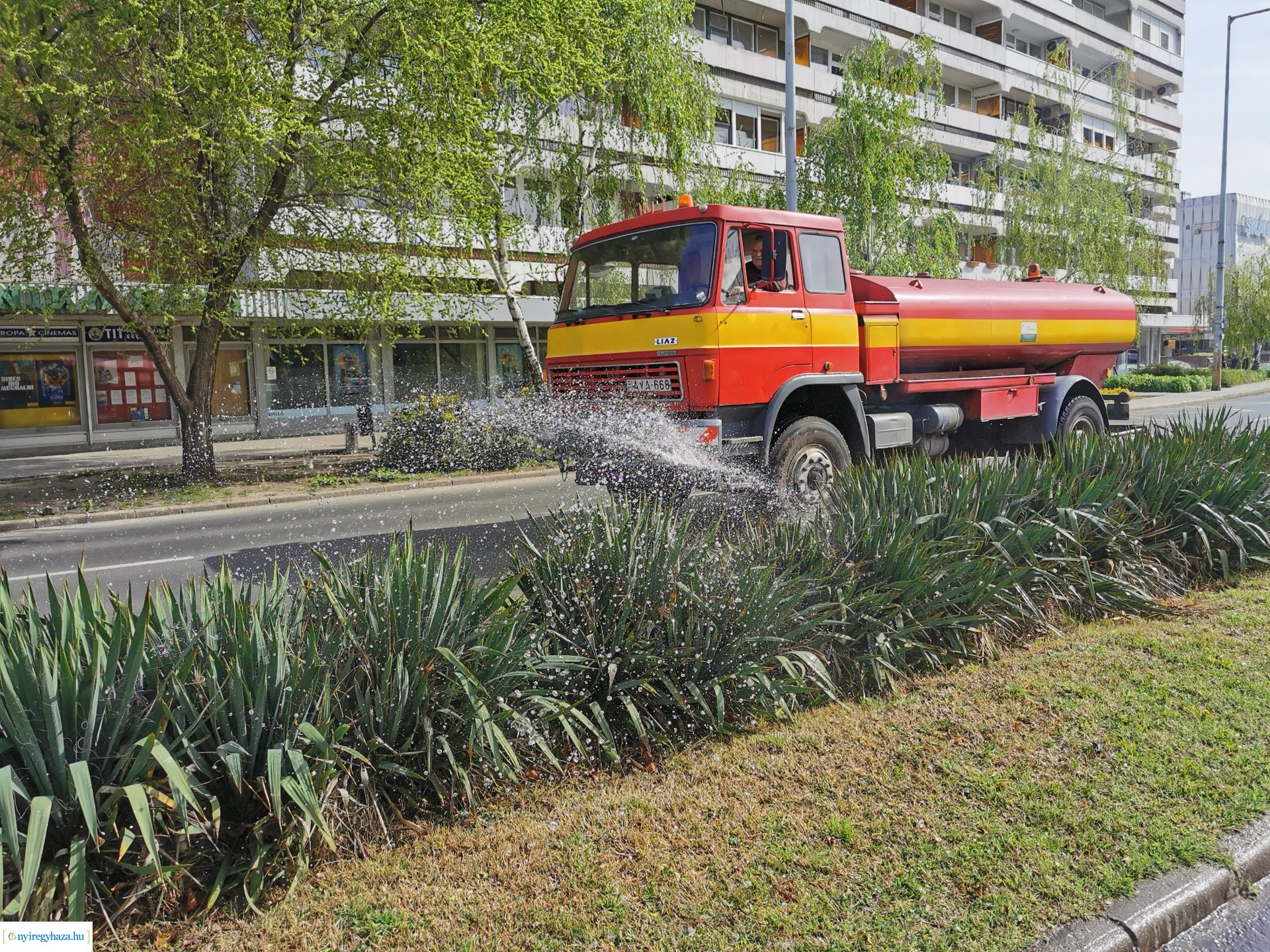 Locsolás a belvárosban