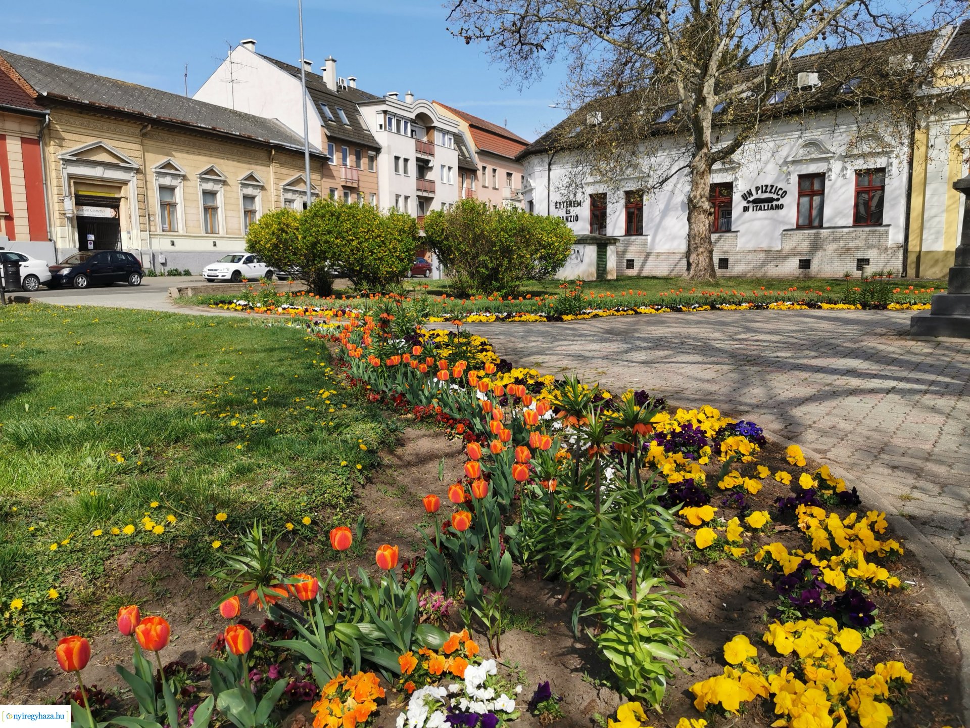 Locsolás a belvárosban
