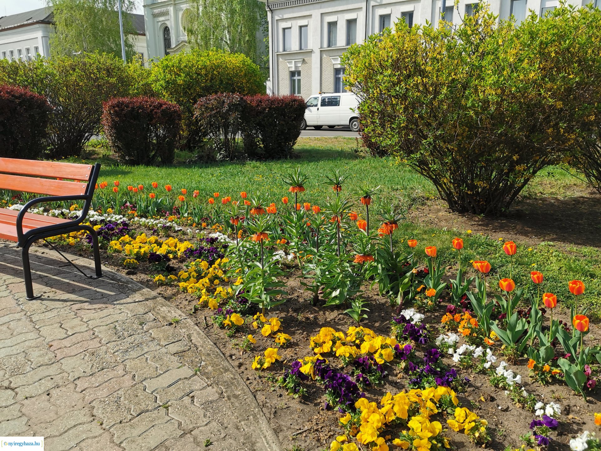 Locsolás a belvárosban