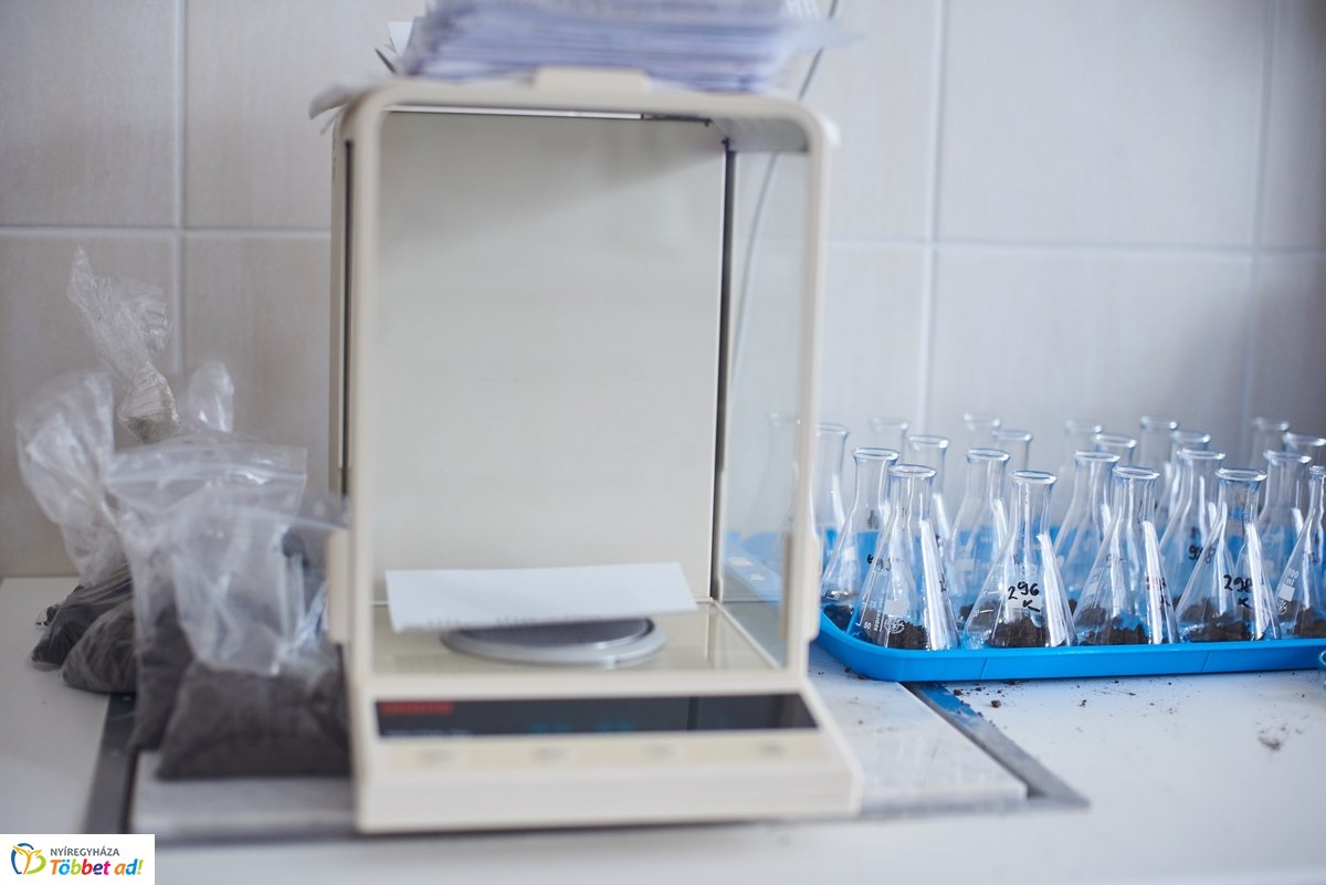 LOTEX konferencia 2019