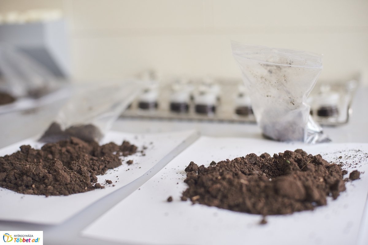 LOTEX konferencia 2019