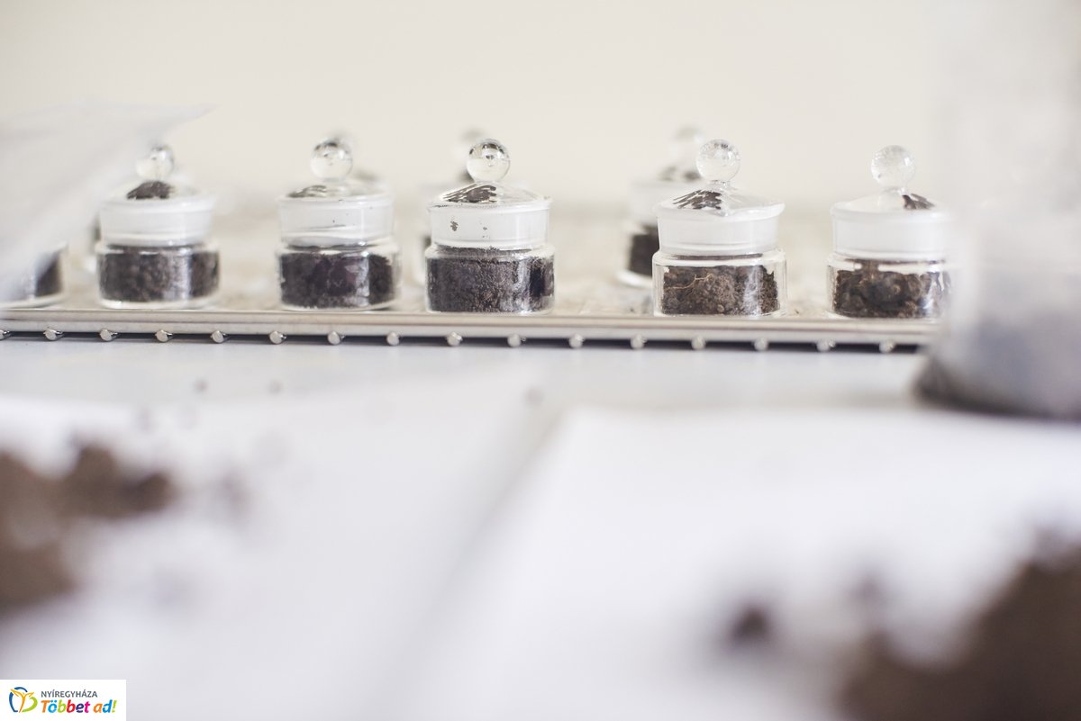 LOTEX konferencia 2019