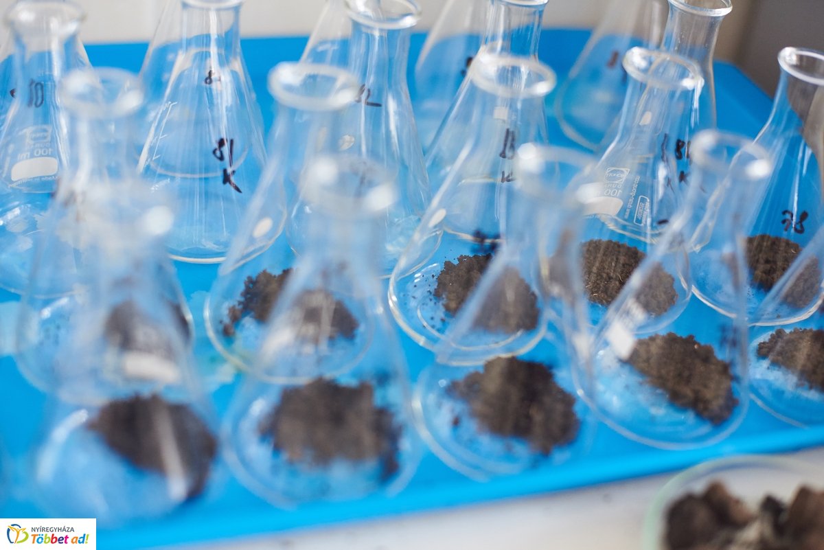 LOTEX konferencia 2019