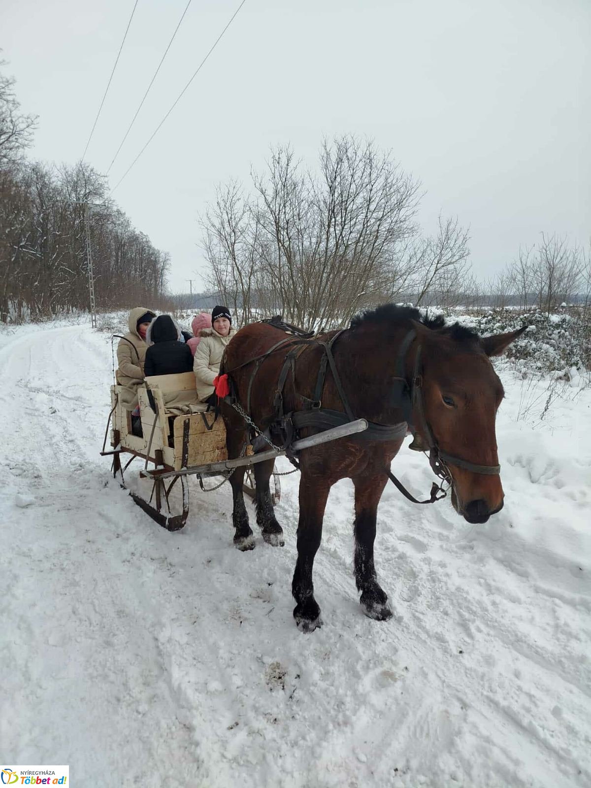 Lovasszánon a téli tájban