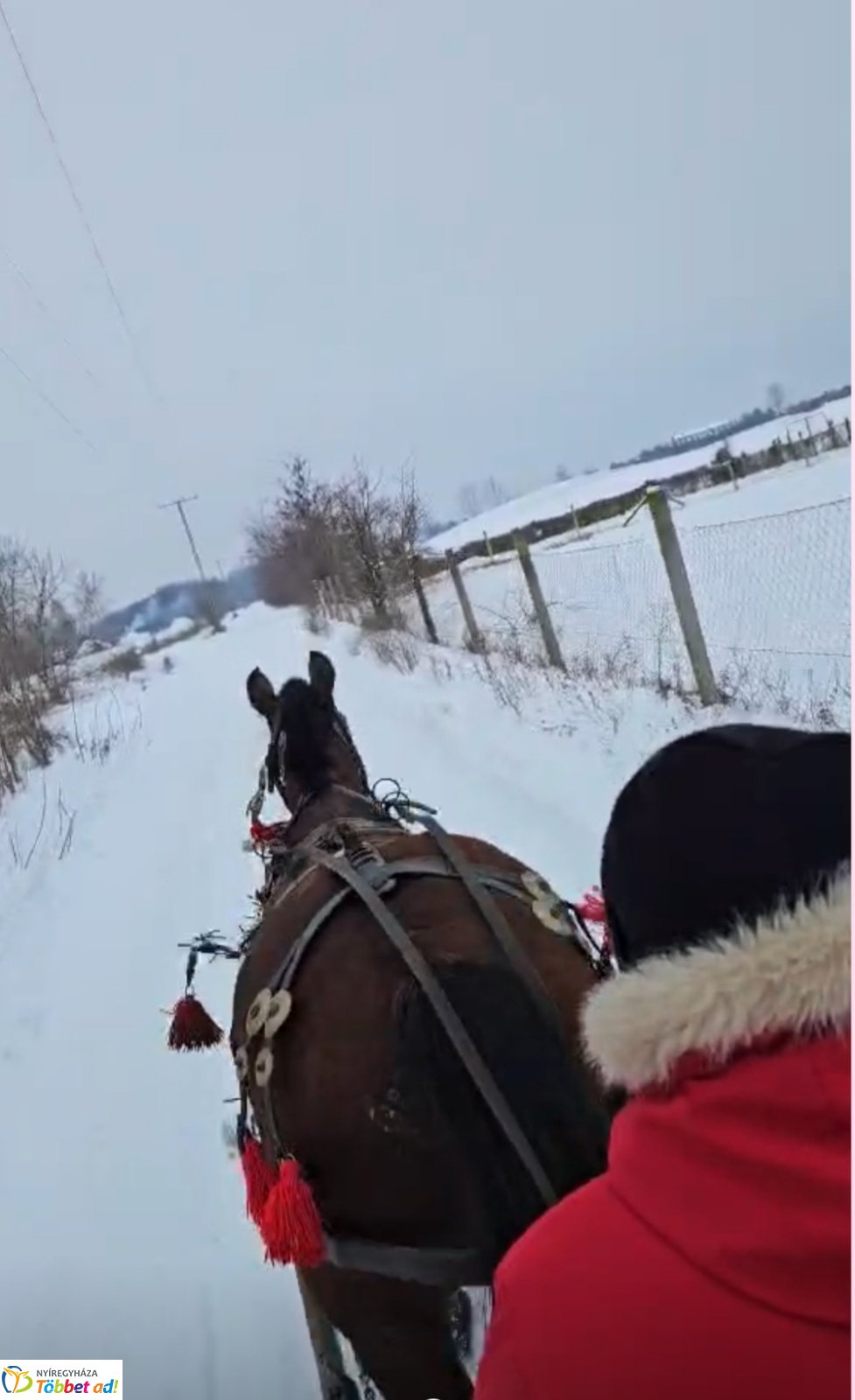 Lovasszánon a téli tájban