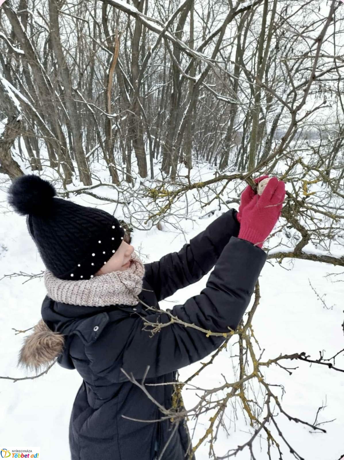 Lovasszánon a téli tájban