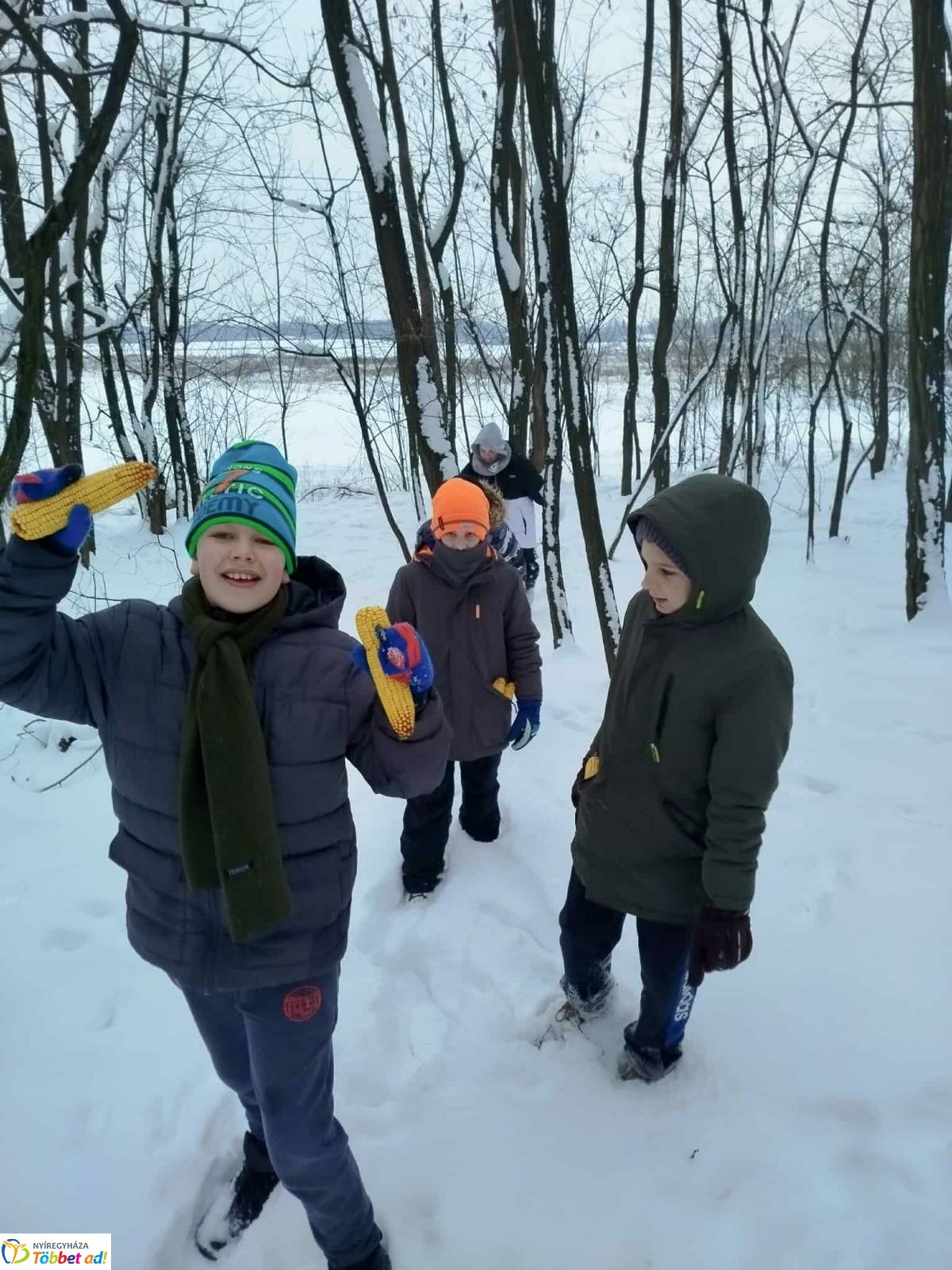 Lovasszánon a téli tájban