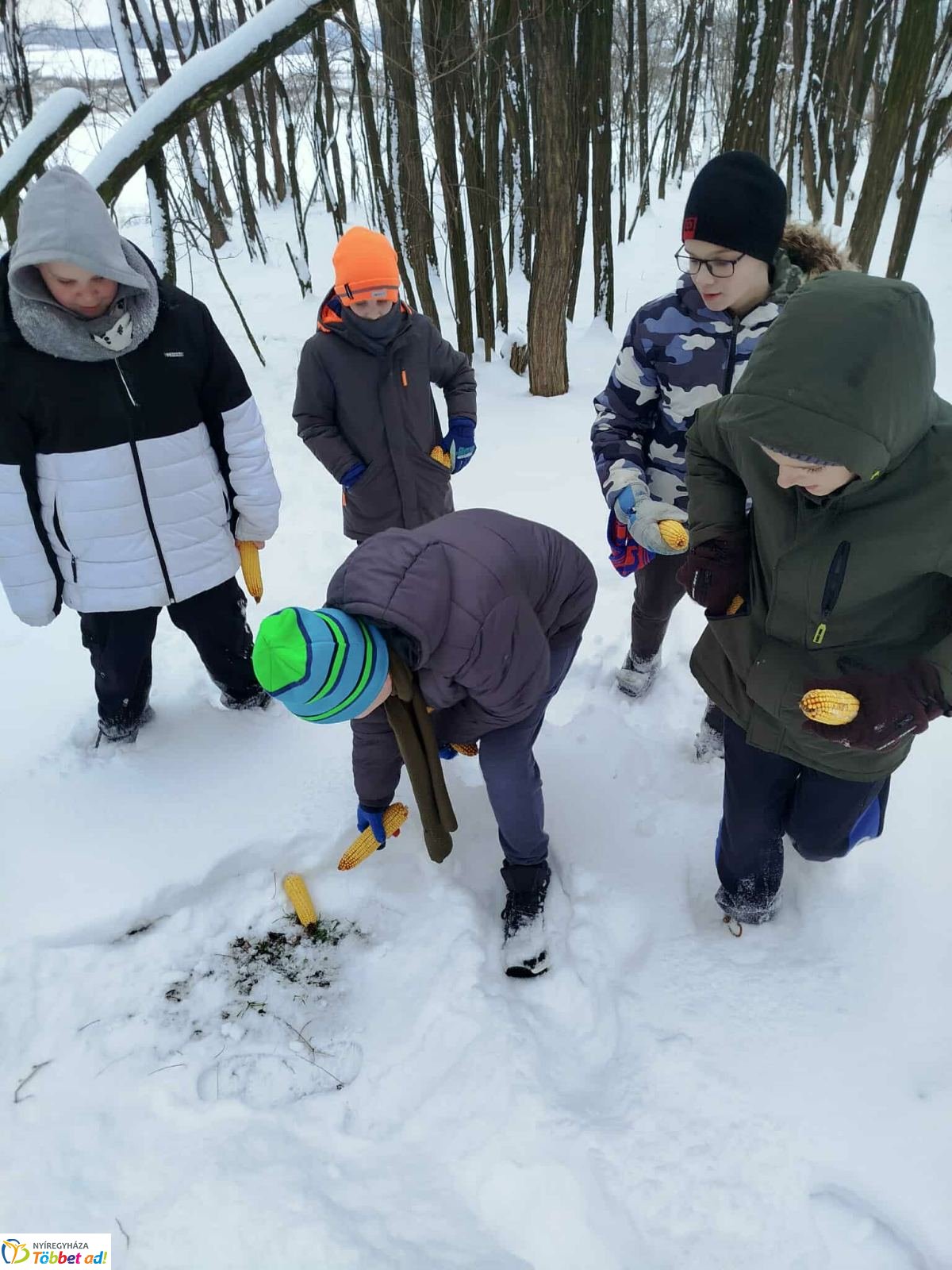 Lovasszánon a téli tájban