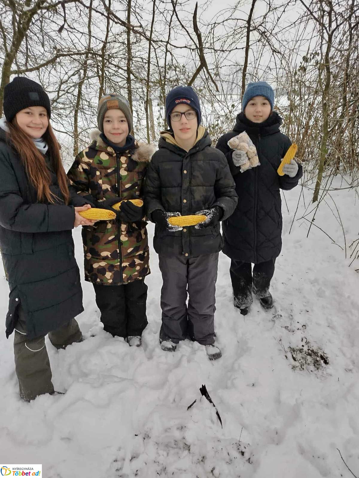 Lovasszánon a téli tájban
