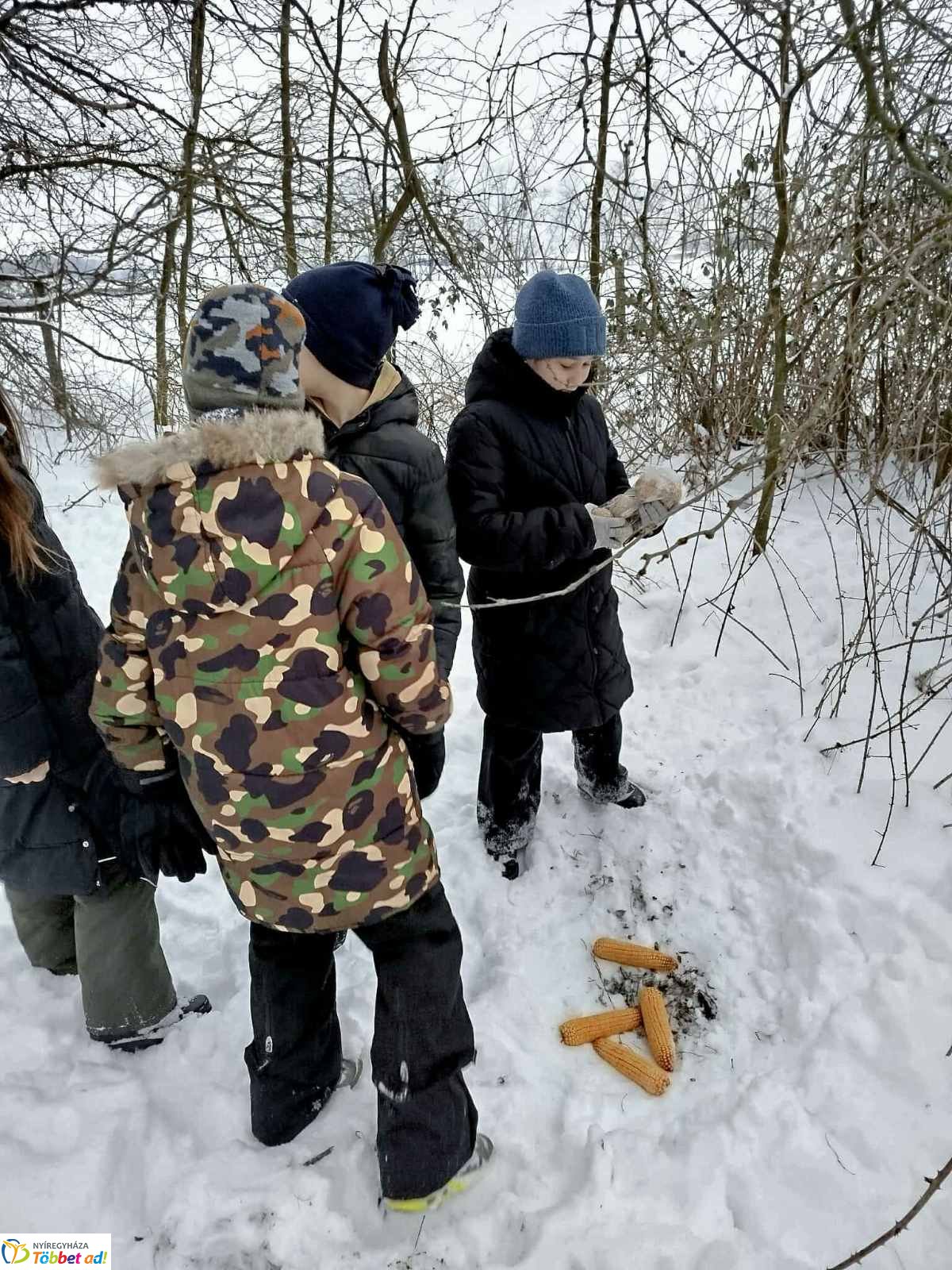 Lovasszánon a téli tájban