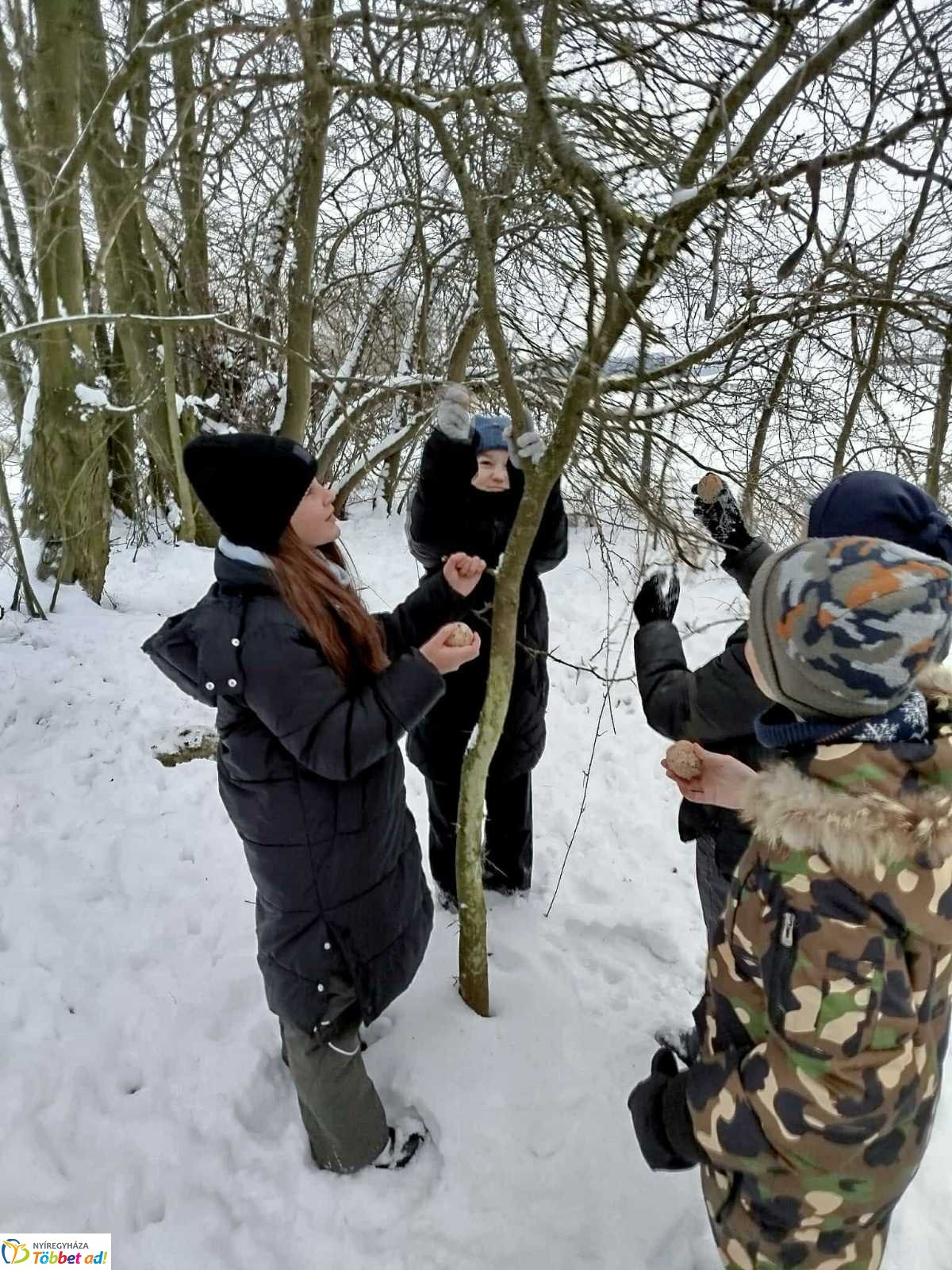 Lovasszánon a téli tájban