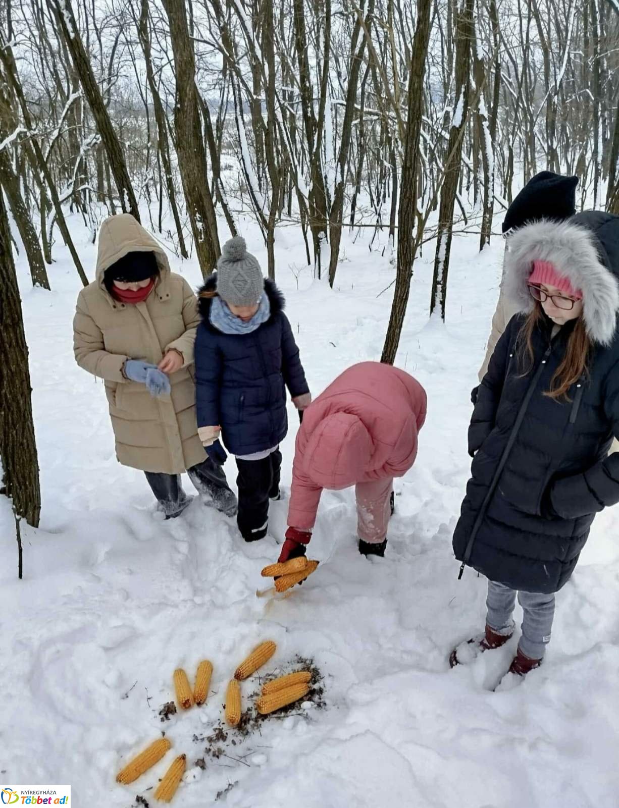 Lovasszánon a téli tájban