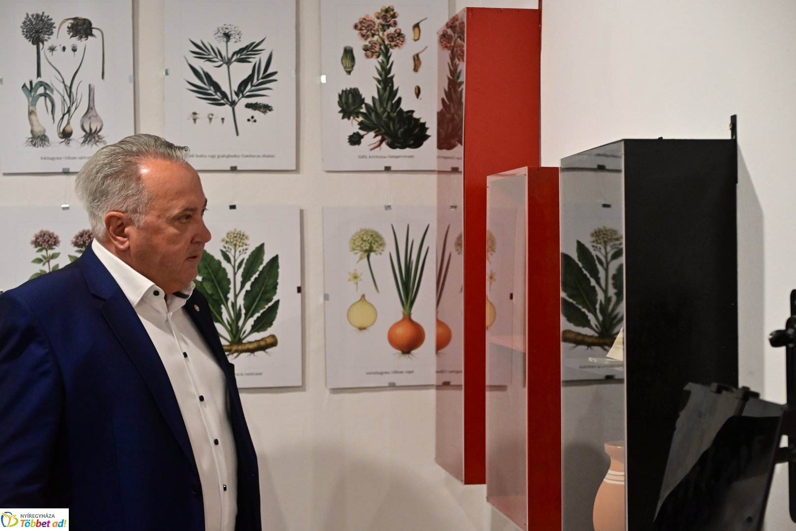 Luby Margit kiállítás a múzeumfaluban