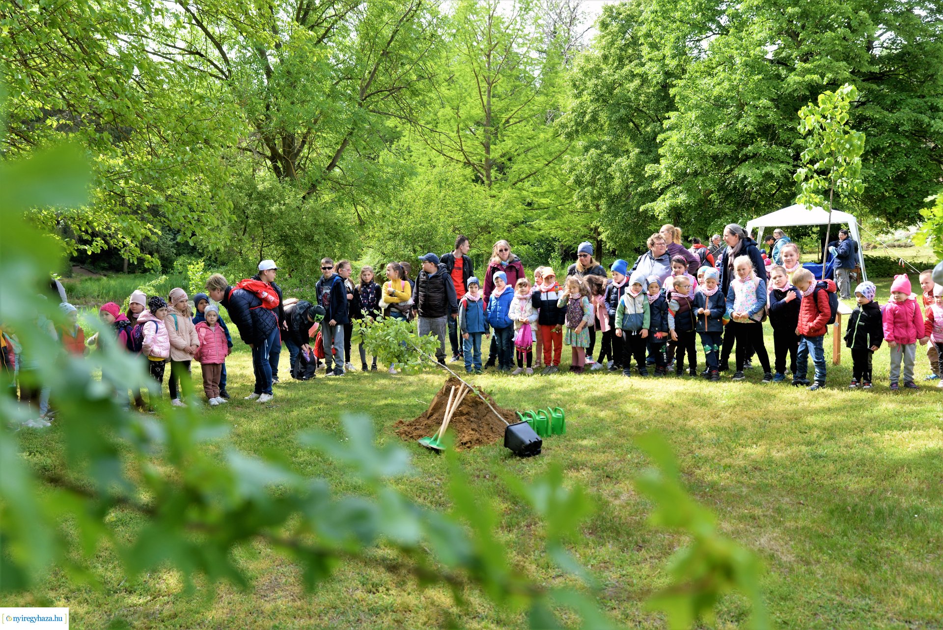 Madarak és fák napja a Tuzson János Botanikus Kertben 2023.