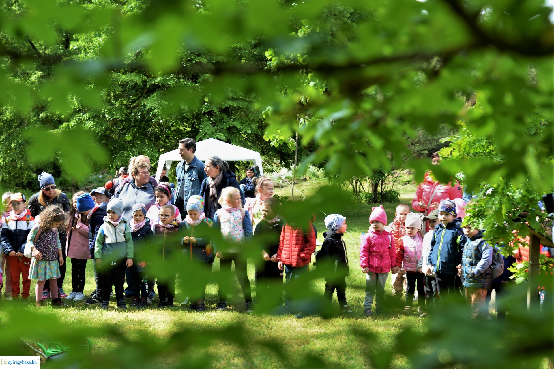Madarak és fák napja a Tuzson János Botanikus Kertben 2023.