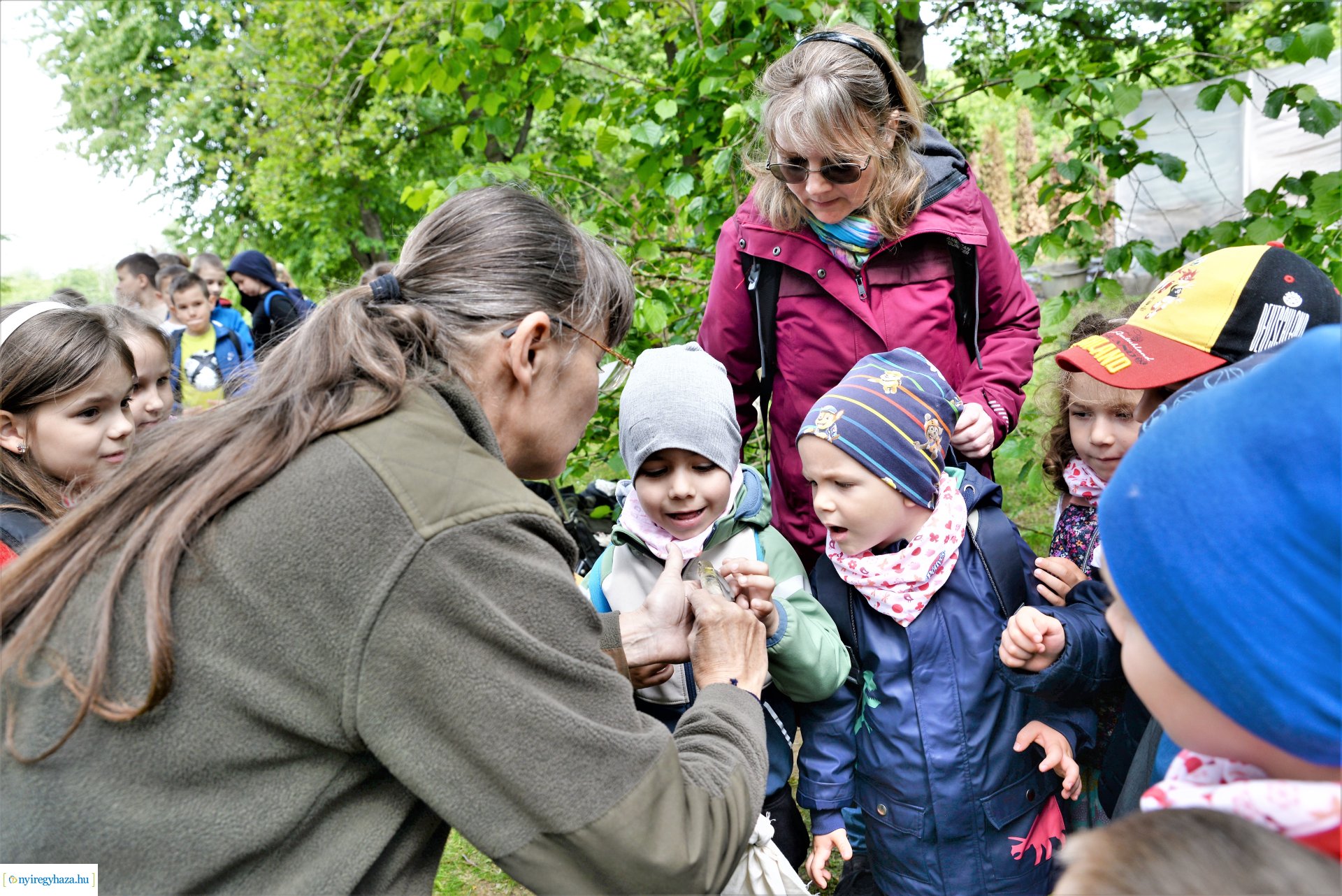 Madarak és fák napja a Tuzson János Botanikus Kertben 2023.