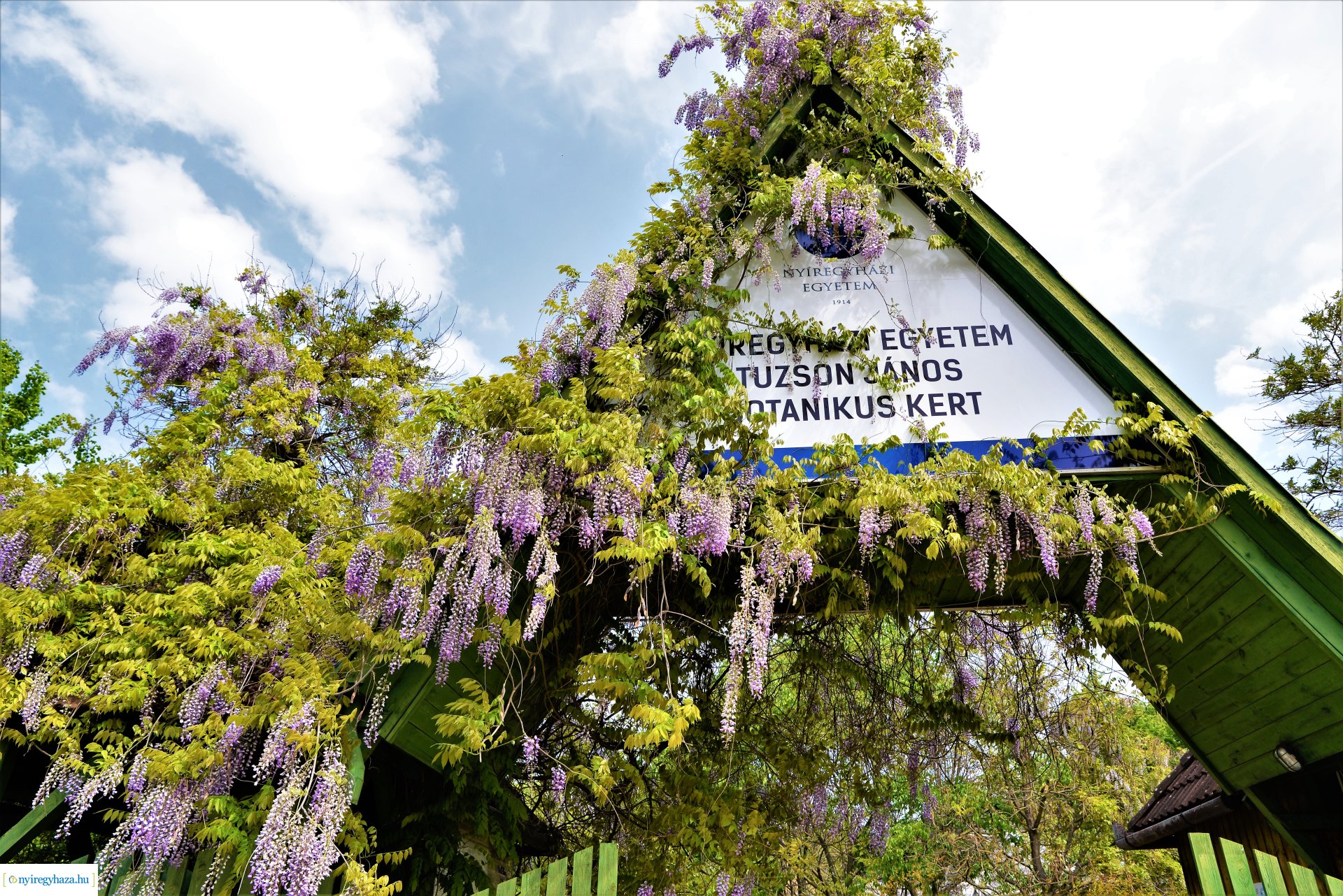 Madarak és fák napja a Tuzson János Botanikus Kertben 2023.