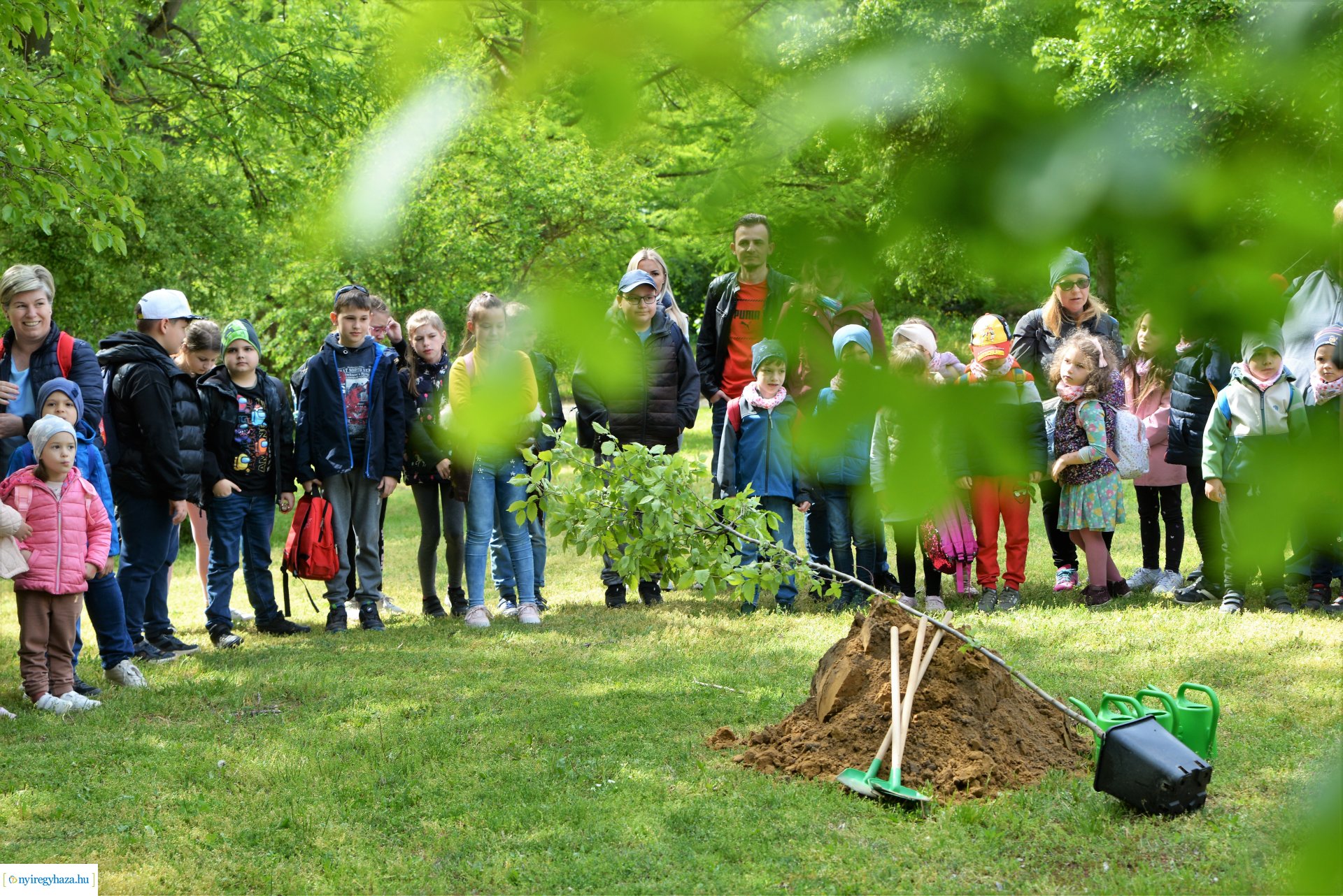Madarak és fák napja a Tuzson János Botanikus Kertben 2023.