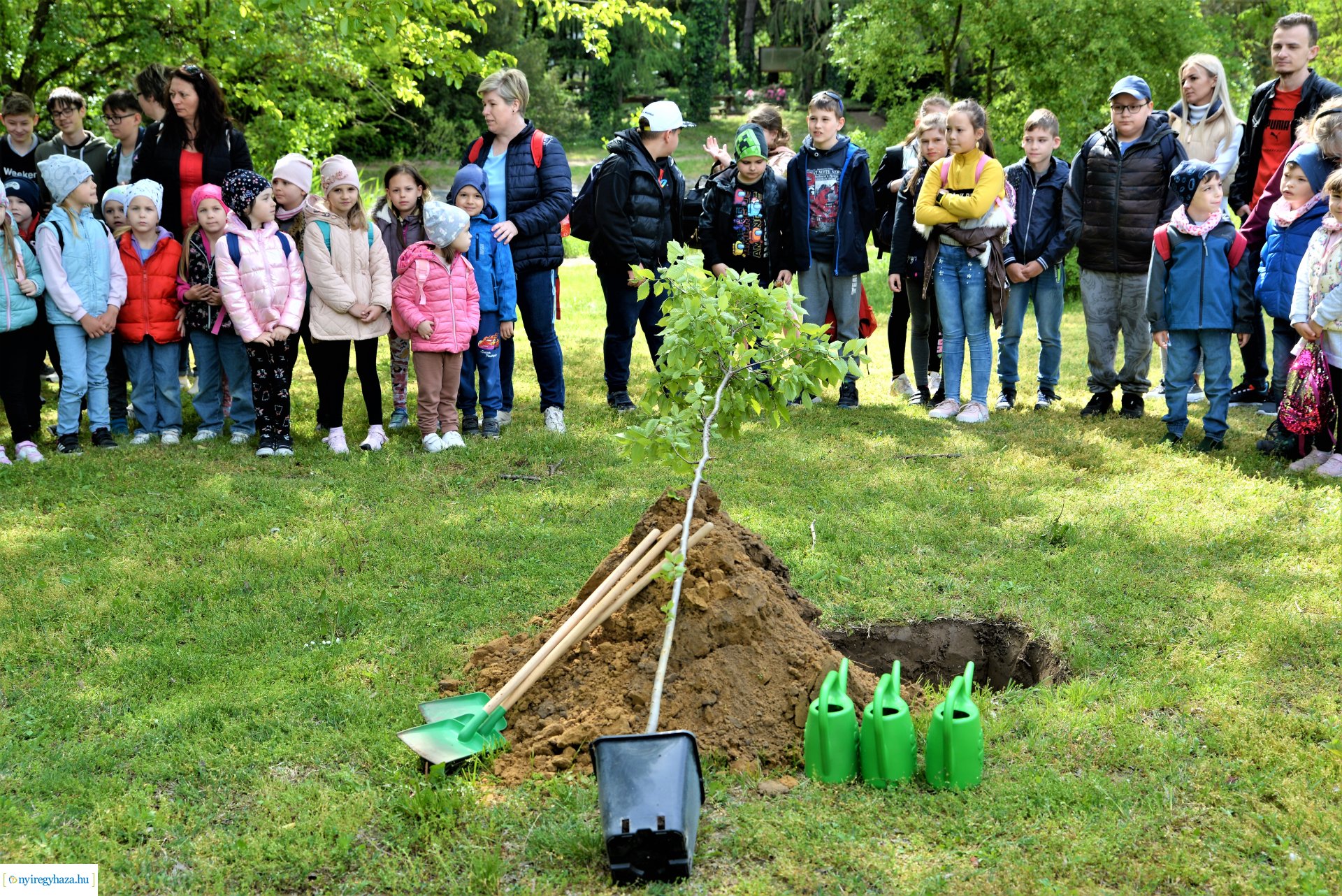 Madarak és fák napja a Tuzson János Botanikus Kertben 2023.
