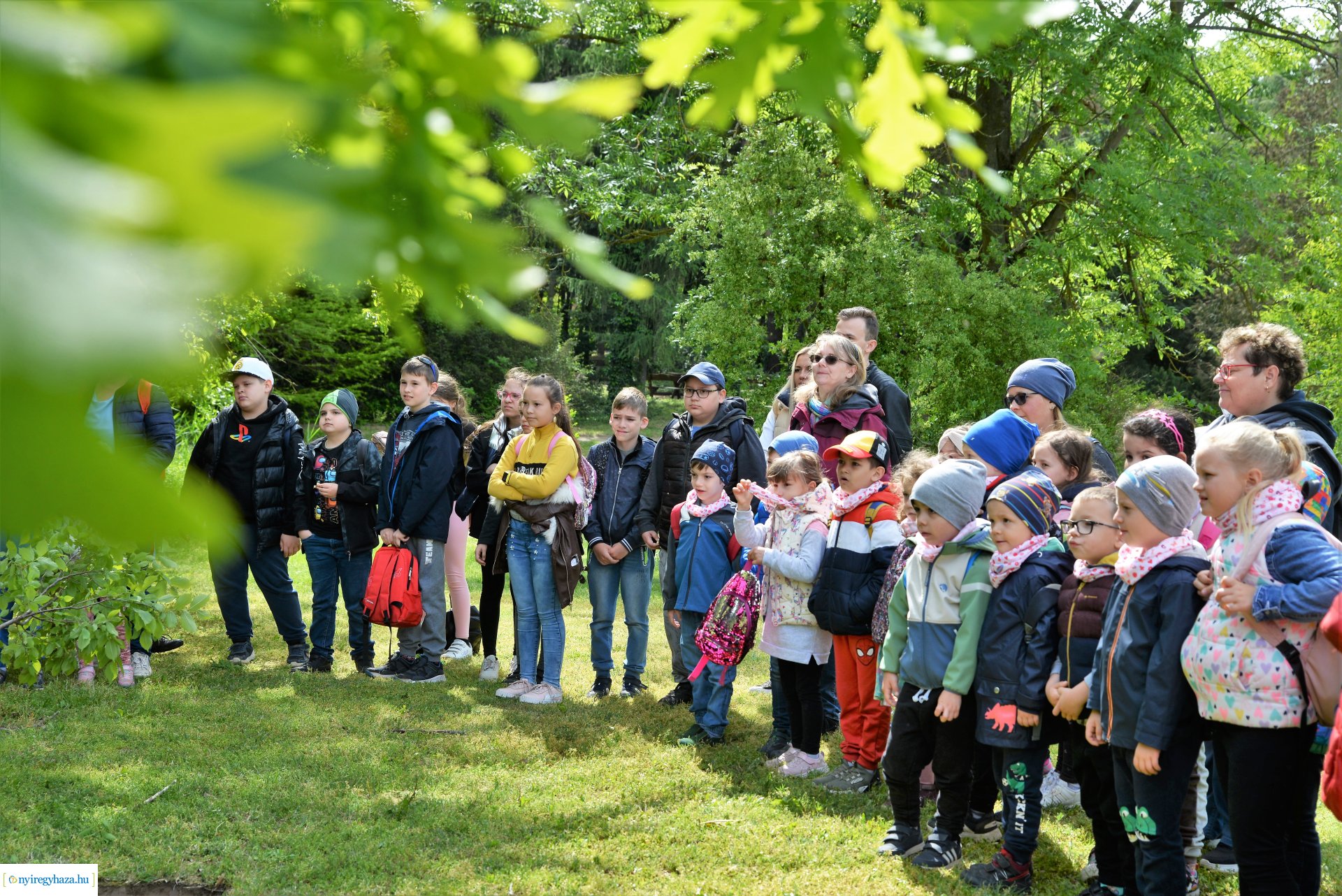 Madarak és fák napja a Tuzson János Botanikus Kertben 2023.