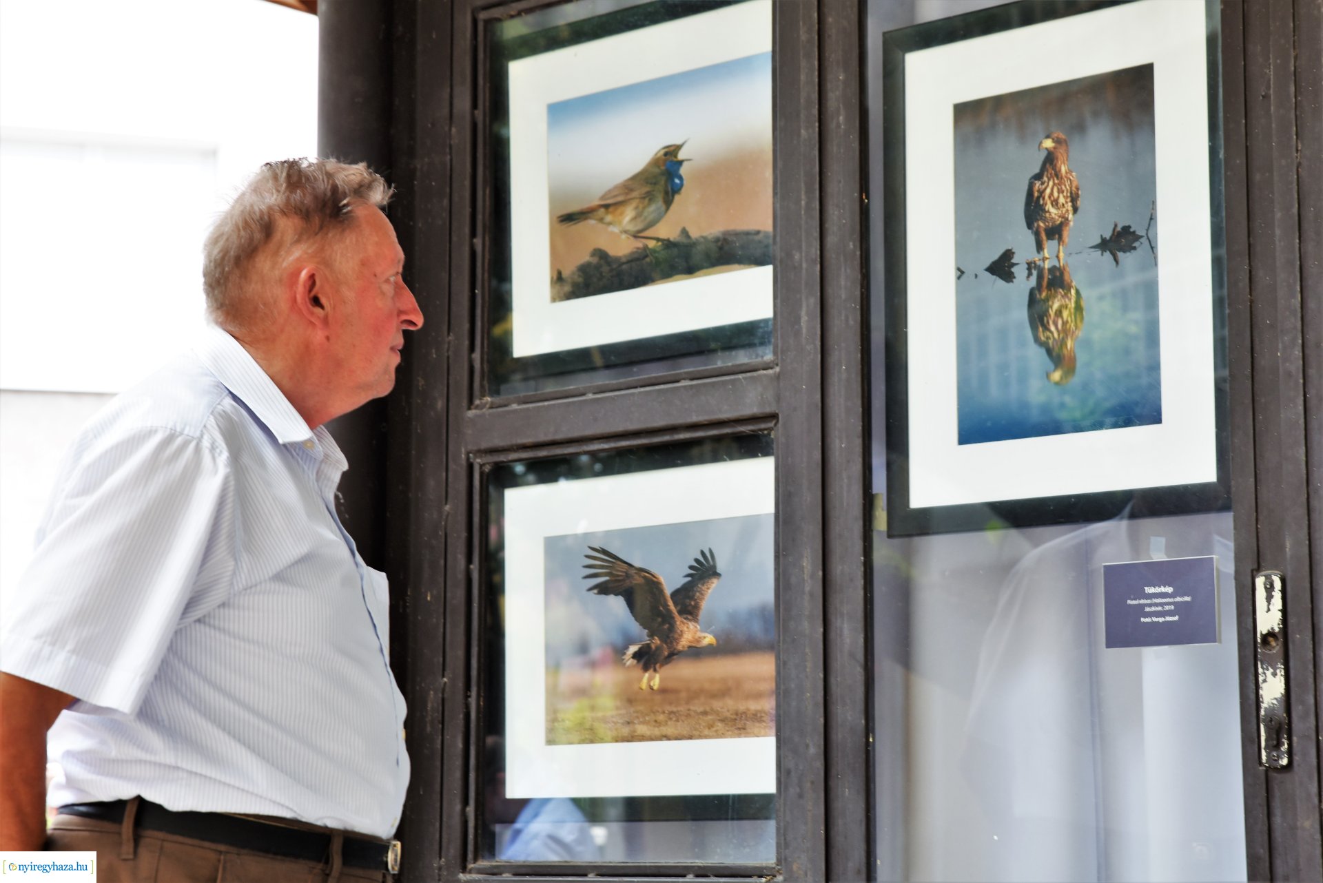 Madárlesen a Jászságban - kiállításmegnyitó a Nyírfa téri galérában
