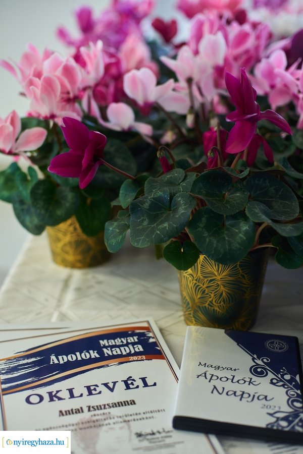 Magyar Ápolók Napja 2023