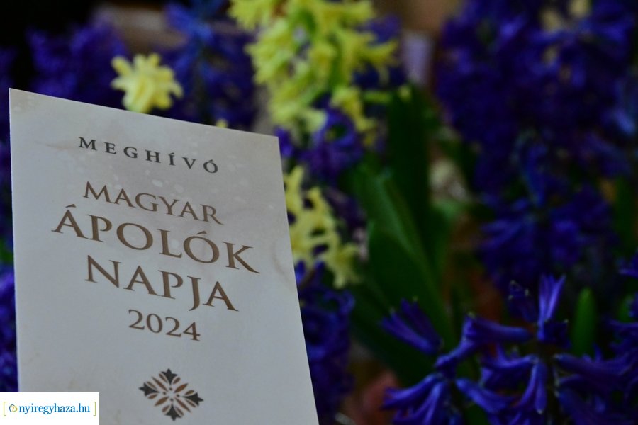 Magyar Ápolók Napja 2024