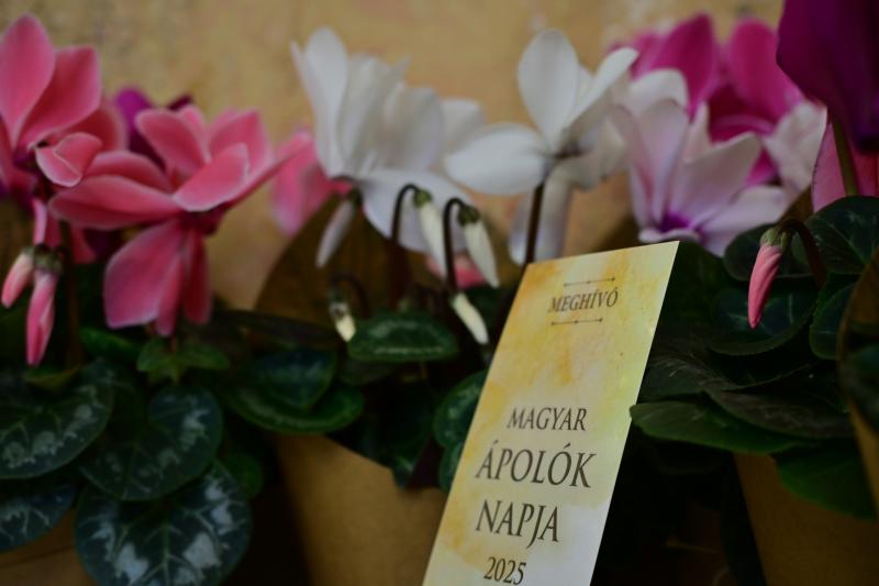 Magyar Ápolók Napja a Megyeházán - 2025
