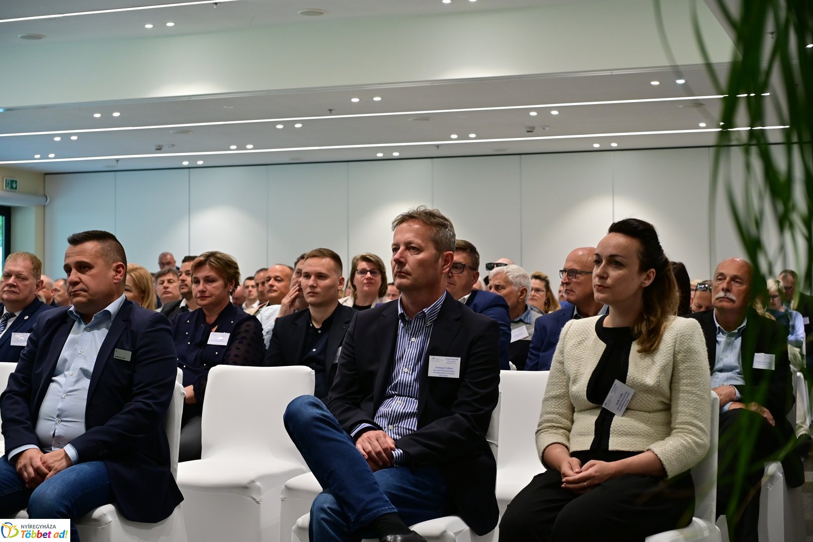 Magyar Fürdőszövetség közgyűlése 2025 májusában