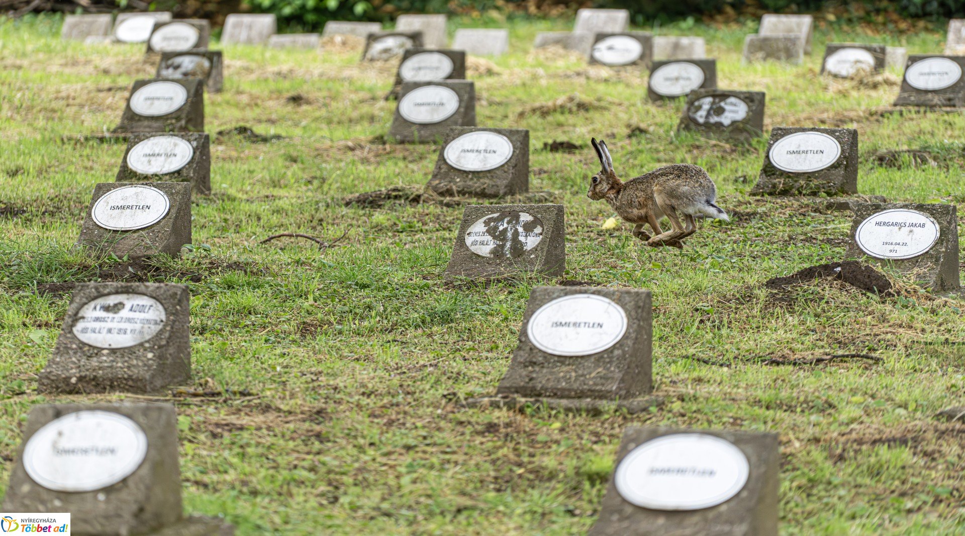 Magyar Hősök Emlékünnepe – Hősök temetője, Nyíregyháza