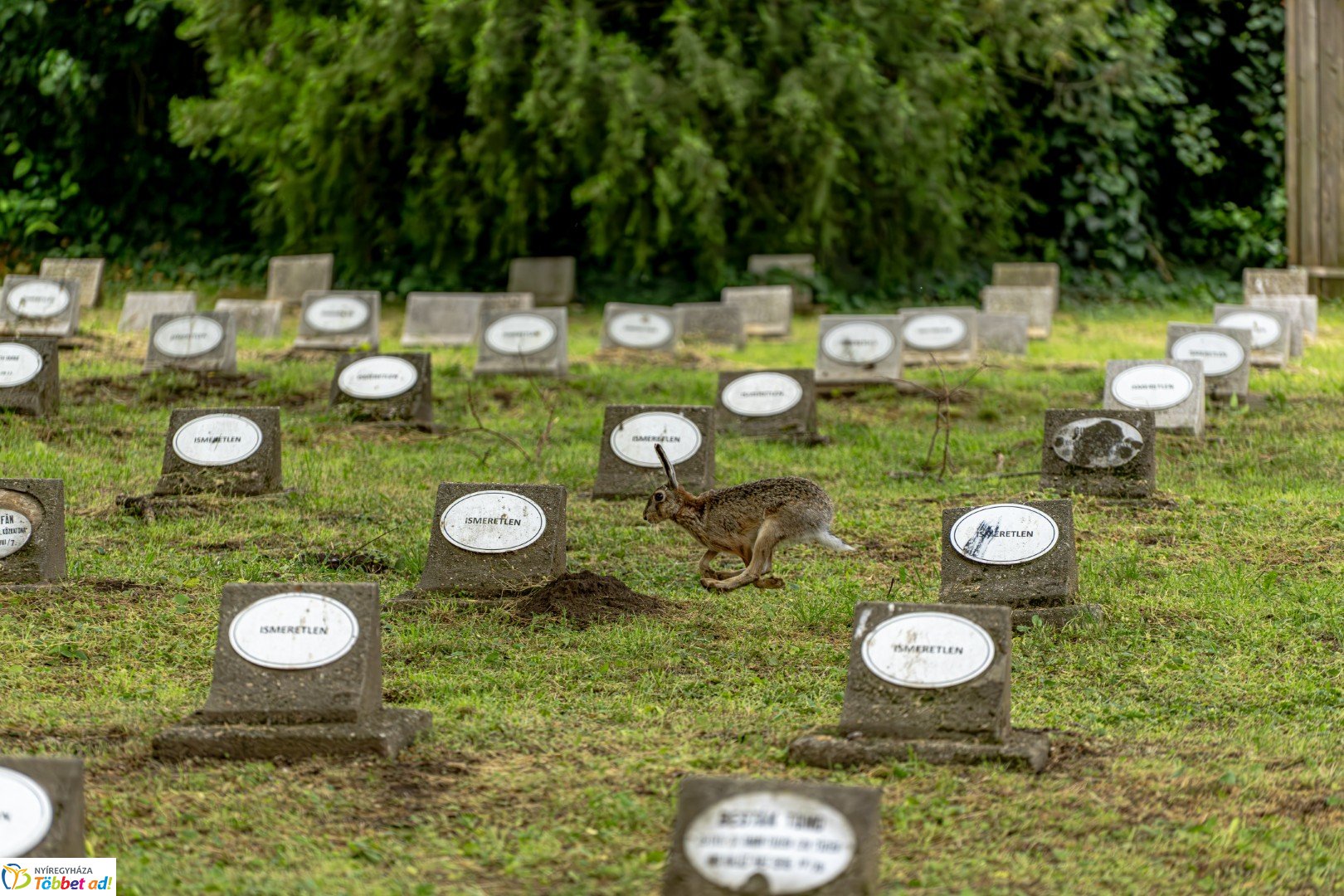 Magyar Hősök Emlékünnepe – Hősök temetője, Nyíregyháza