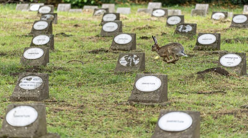 Magyar Hősök Emlékünnepe – Hősök temetője, Nyíregyháza