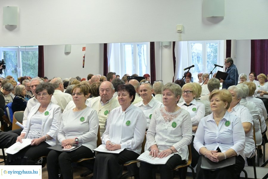 Magyar Kultúra Napja 2024 - VOKE