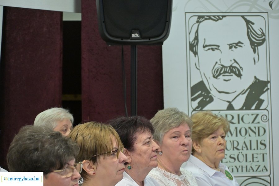 Magyar Kultúra Napja 2024 - VOKE