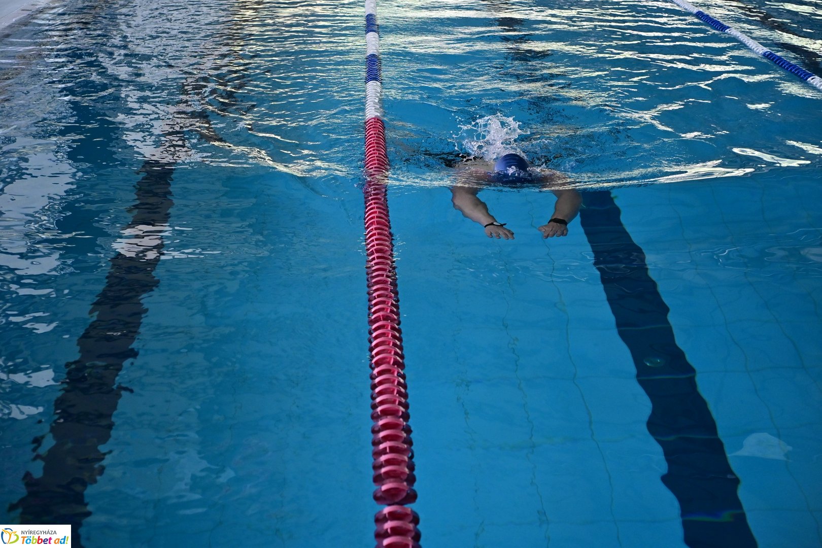 Magyar Sport Napja az Arénában - 2026 