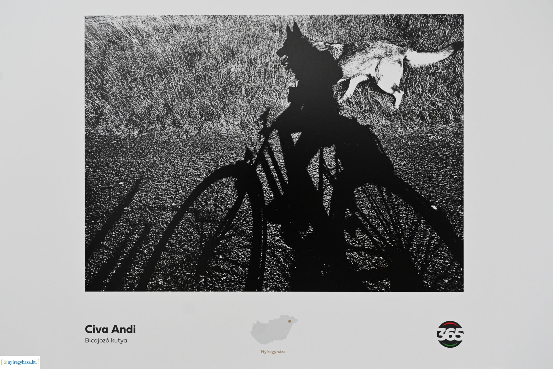 Magyarország 365 fotó - kiállításmegnyitó a VMKK-ban