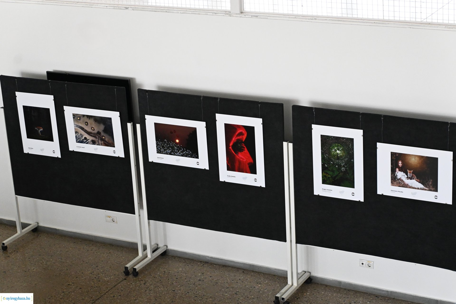 Magyarország 365 fotó - kiállításmegnyitó a VMKK-ban