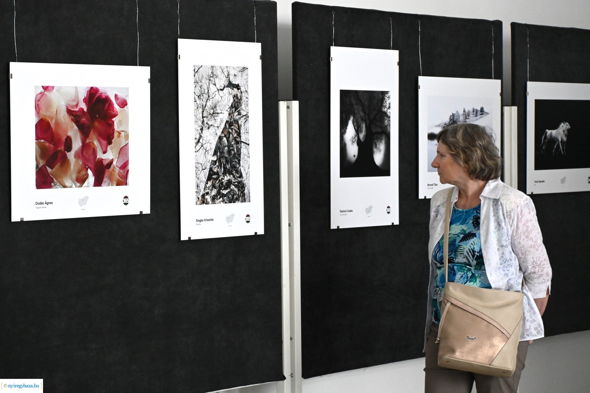 Magyarország 365 fotó - kiállításmegnyitó a VMKK-ban