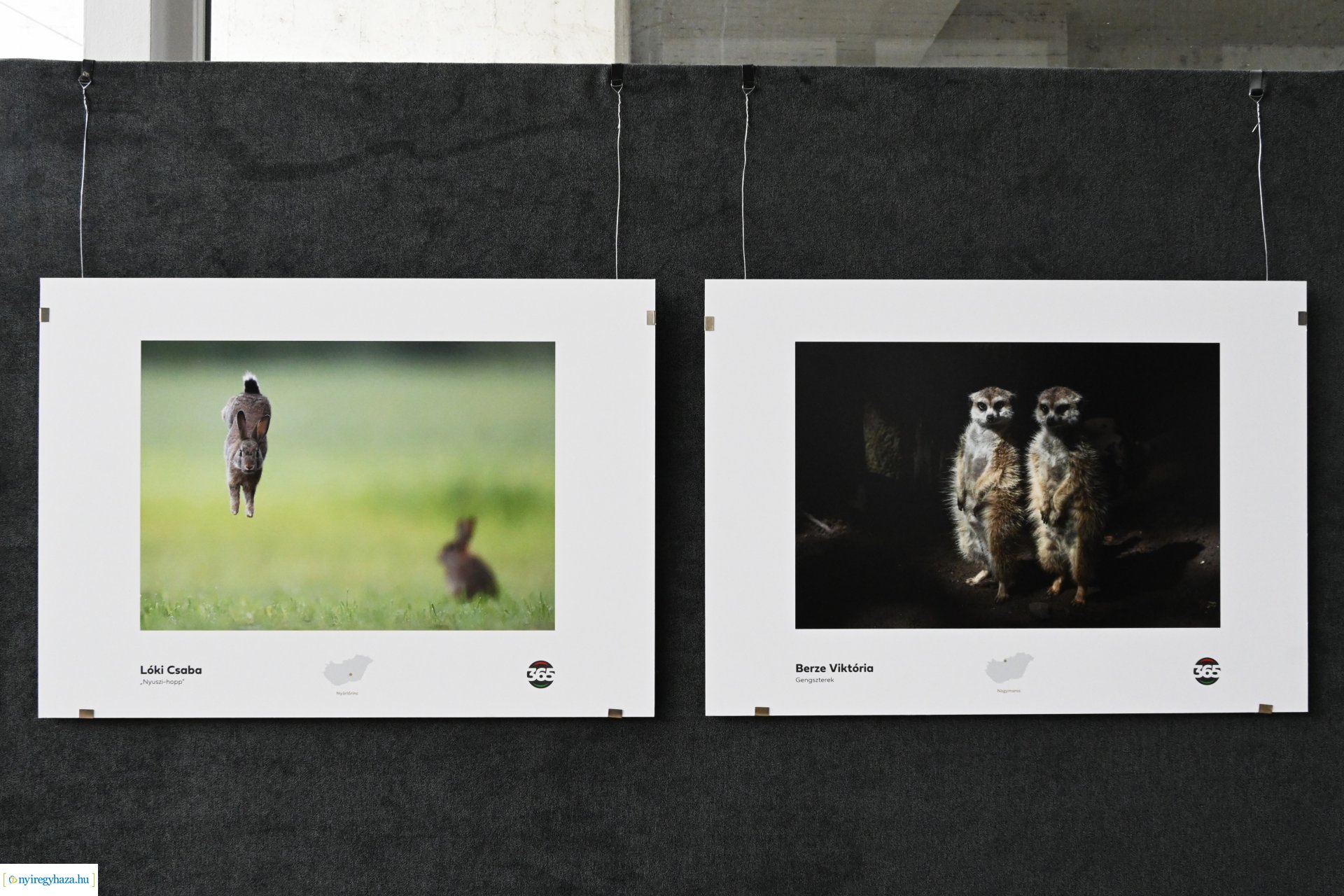 Magyarország 365 fotó - kiállításmegnyitó a VMKK-ban