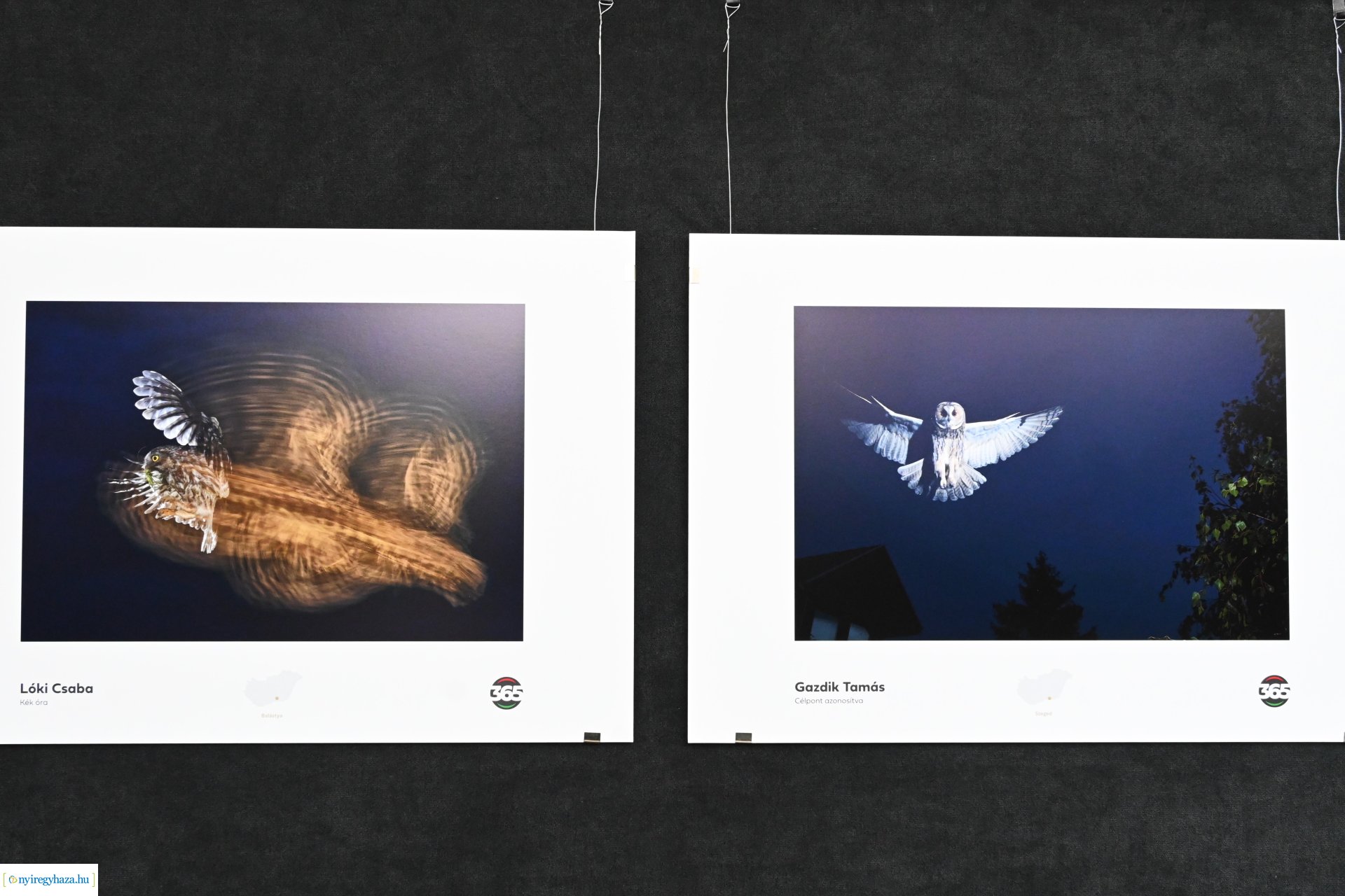 Magyarország 365 fotó - kiállításmegnyitó a VMKK-ban